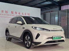 BYD Haima Lion Haima Seagull 05 EV 520KM Smart Navigation Edition - photo 3