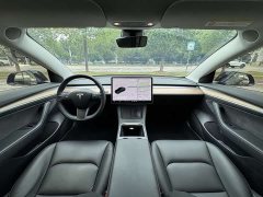 Tesla Model 3 Standard Range RWD Upgrade 3D6 - ფოტო 13