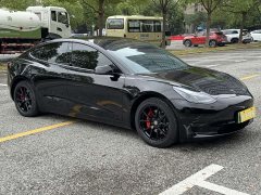 Tesla Model 3 Standard Range RWD Upgrade 3D6 - ფოტო 3