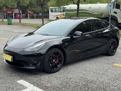 Tesla Model 3 Standard Range RWD Upgrade 3D6 - ფოტო 5