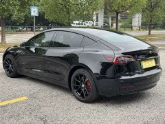 Tesla Model 3 Standard Range RWD Upgrade 3D6 - ფოტო 8