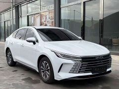 BYD Destroyer 05 2024 Glory Edition DM-i 55KM Luxury - ფოტო 3
