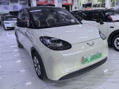 Wuling Binguo 333km Lingxi Connected Edition - ფოტო 3