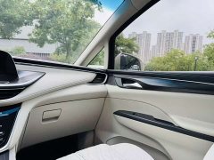 Buick GL8 2020 ES LuZun 653T Respect Edition - ფოტო 10