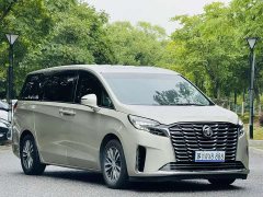 Buick GL8 2020 ES LuZun 653T Respect Edition - ფოტო 3