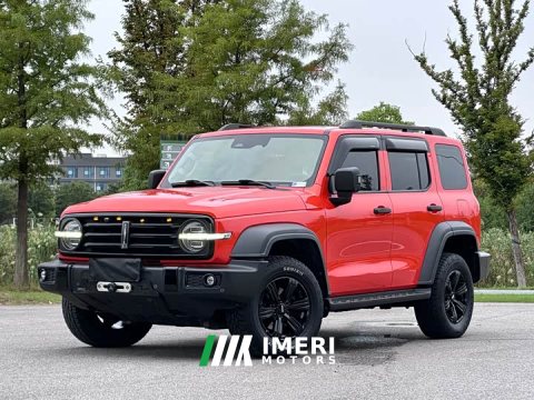 2021 Tank 300 Off-Road Edition 2.0T Conqueror - ავტომობილი ჩინეთიდან