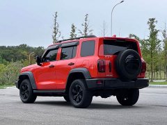 Tank 300 Off-Road Edition 2.0T Conqueror - ფოტო 19