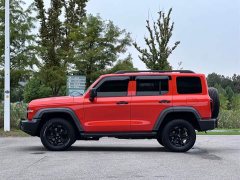Tank 300 Off-Road Edition 2.0T Conqueror - ფოტო 5
