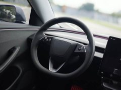 Tesla Model 3 Rear-Wheel Drive - ფოტო 10