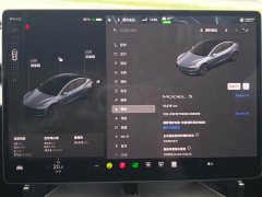 Tesla Model 3 Rear-Wheel Drive - ფოტო 15