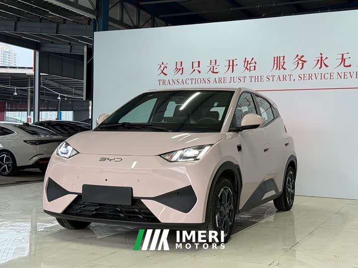 BYD Seagull Smart Drive 405km Flight Edition - ავტომობილი ჩინეთიდან
