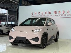 BYD Seagull Smart Drive 405km Flight Edition - ფოტო 1