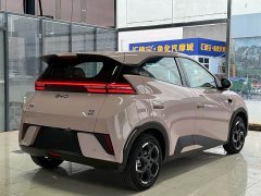 BYD Seagull Smart Drive 405km Flight Edition - ფოტო 16