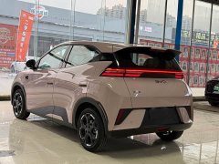 BYD Seagull Smart Drive 405km Flight Edition - ფოტო 18