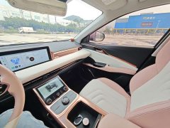 Neta U 2022 Neta U-II 500 Ternary Lithium - ფოტო 10