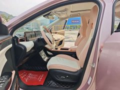 Neta U 2022 Neta U-II 500 Ternary Lithium - ფოტო 12