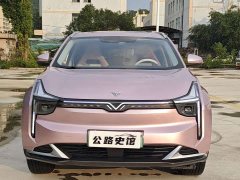Neta U 2022 Neta U-II 500 Ternary Lithium - ფოტო 8