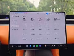 Xiaomi YU7 Four-Wheel Drive Pro - ფოტო 9
