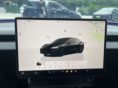 Tesla Model 3 2023 Rear-Wheel Drive - ფოტო 5