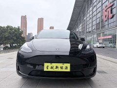 Tesla Model Y 2022 Rear-Wheel Drive - ფოტო 2