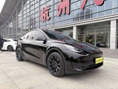 Tesla Model Y 2022 Rear-Wheel Drive - ფოტო 4
