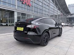 Tesla Model Y 2022 Rear-Wheel Drive - ფოტო 8
