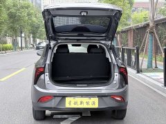 Neta V Standard Range Industry Custom Edition - ფოტო 8