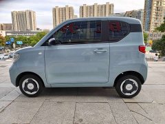 BMW Hongguang MINIEV Delightful Edition LFP - ფოტო 12