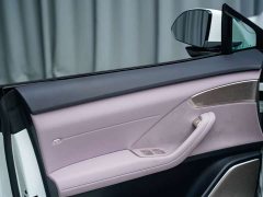 Nio Lerado L60 60kWh Rear-Wheel Drive - photo 10