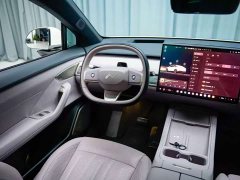 Nio Lerado L60 60kWh Rear-Wheel Drive - photo 5