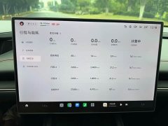 Xiaomi SU7 Rear-Wheel Drive Ultra-Long Range Advanced Autonomous Driving Pro - ფოტო 11