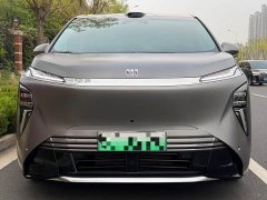 Buick Zhijing Shijia Luxury Edition - ფოტო 2