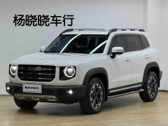 Great Wall Dachshund 2.0T DCT Four-Wheel Drive Chinese Rural Dog Edition - ფოტო 1