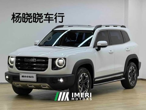 2022 Great Wall Dachshund 2.0T DCT Four-Wheel Drive Chinese Rural Dog Edition - ავტომობილი ჩინეთიდან
