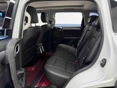 Great Wall Dachshund 2.0T DCT Four-Wheel Drive Chinese Rural Dog Edition - ფოტო 14