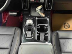 Great Wall Dachshund 2.0T DCT Four-Wheel Drive Chinese Rural Dog Edition - ფოტო 19