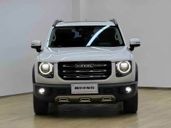 Great Wall Dachshund 2.0T DCT Four-Wheel Drive Chinese Rural Dog Edition - ფოტო 2
