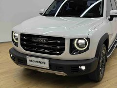 Great Wall Dachshund 2.0T DCT Four-Wheel Drive Chinese Rural Dog Edition - ფოტო 4