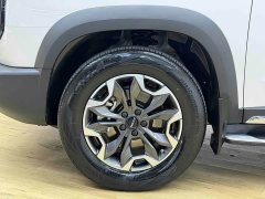 Great Wall Dachshund 2.0T DCT Four-Wheel Drive Chinese Rural Dog Edition - ფოტო 5