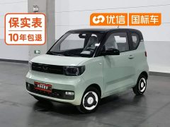 BMW Hongguang MINIEV Macaron Premium Edition LFP - ფოტო 1