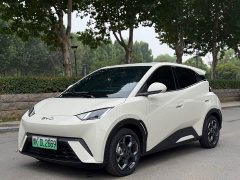 BYD Seagull 305km Freedom Edition - ფოტო 1