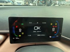 BYD Seagull 305km Freedom Edition - ფოტო 10