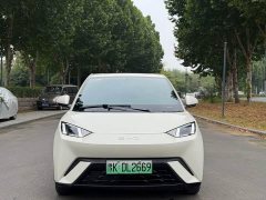 BYD Seagull 305km Freedom Edition - ფოტო 2