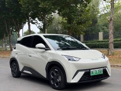 BYD Seagull 305km Freedom Edition - ფოტო 3