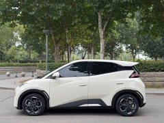 BYD Seagull 305km Freedom Edition - ფოტო 8