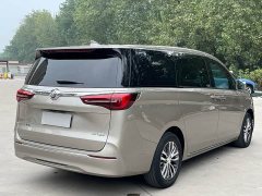Buick GL8 ES Luxe Enjoyment Edition - ფოტო 5