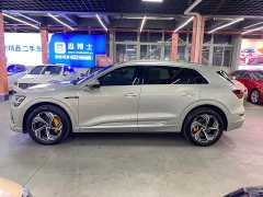Audi e-tron 2021 50 quattro Premium - ფოტო 8