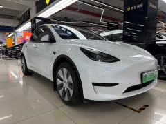 Tesla Model Y Rear-Wheel Drive - ფოტო 2