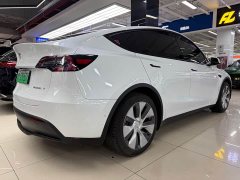 Tesla Model Y Rear-Wheel Drive - ფოტო 6