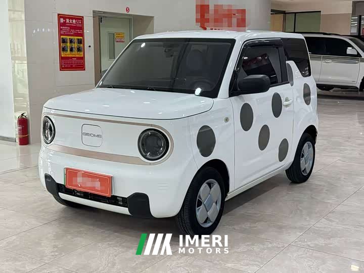 Geely Panda Mini 200km Endurance Edition - ავტომობილი ჩინეთიდან